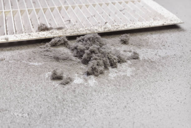 Best Home Air Vent Cleaning  in Cherryland, CA